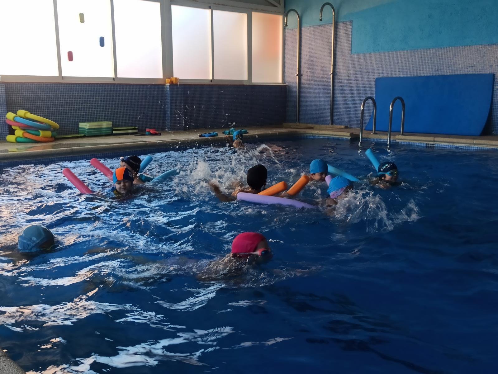 Mirasol whatsapp image 2026 01 29 at 05.21.11